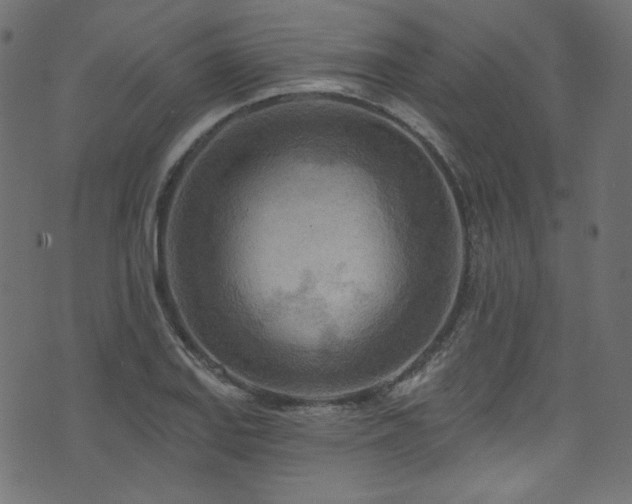 X0000074341127200608251344