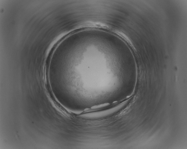 X0000074341128200608251344