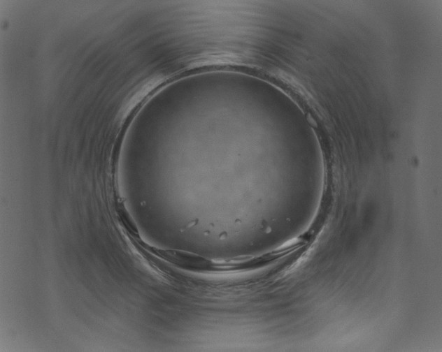 X0000074341129200608251344