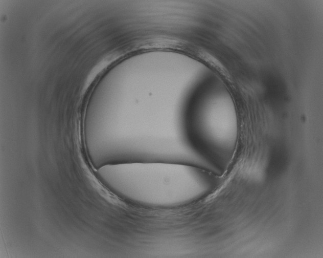 X0000074341130200608251344