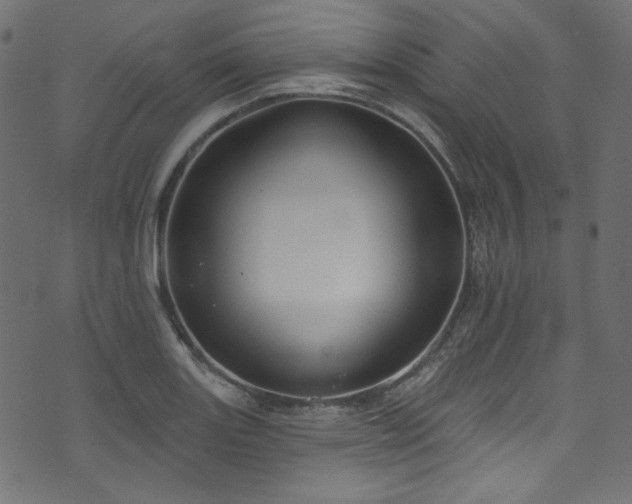 X0000074341131200608251344