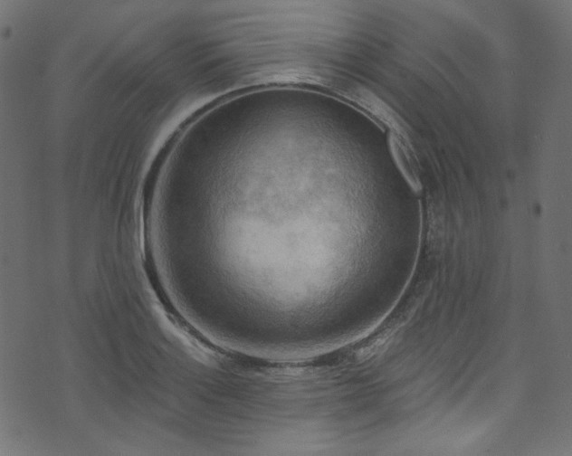 X0000074341132200608251344