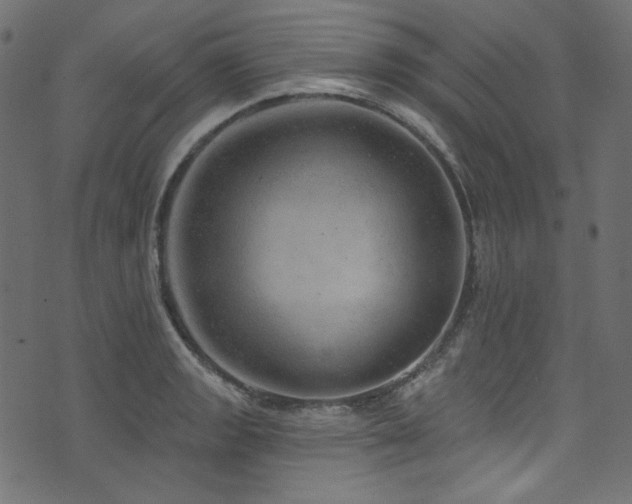 X0000074341133200608251344