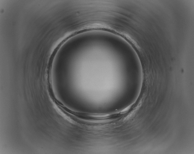 X0000074341134200608251344