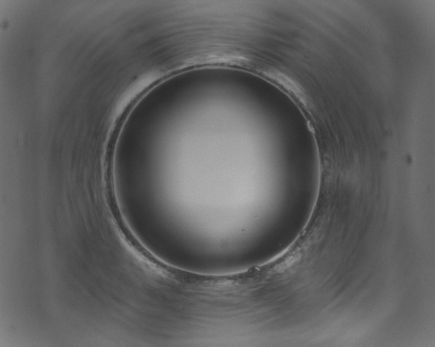 X0000074341135200608251344