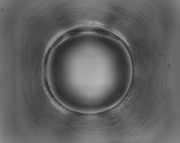 X0000074341136200608251344