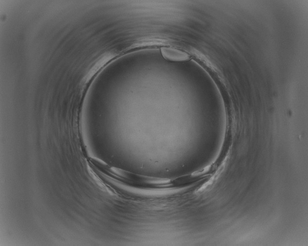 X0000074341137200608251344