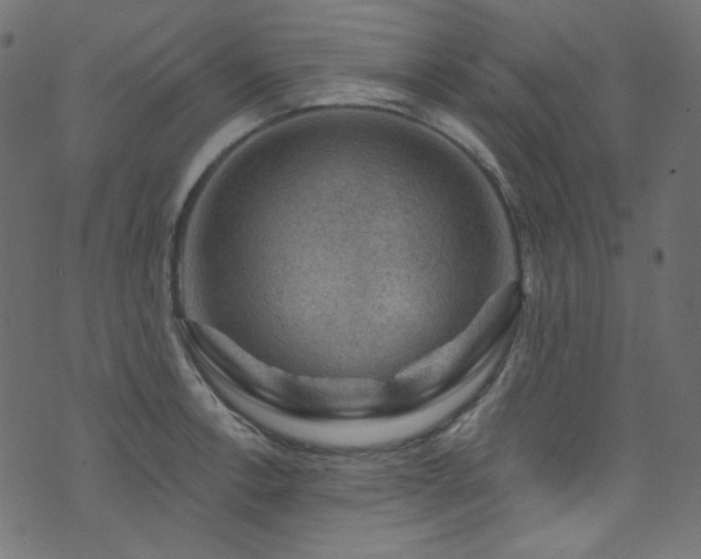 X0000074341138200608251344