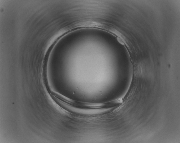 X0000074341139200608251344