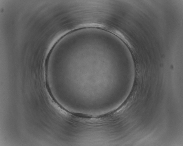 X0000074341140200608251344