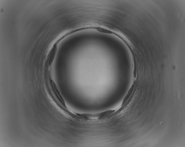 X0000074341142200608251344