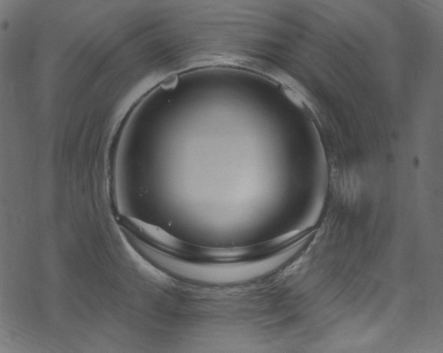 X0000074341143200608251344