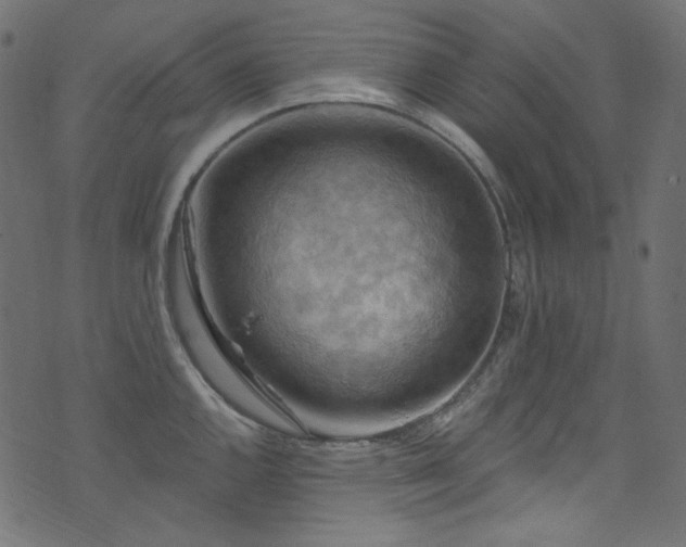 X0000074341144200608251344