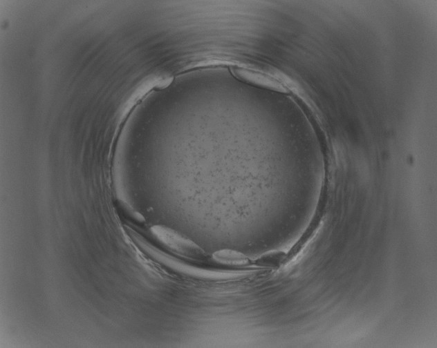 X0000074341145200608251344