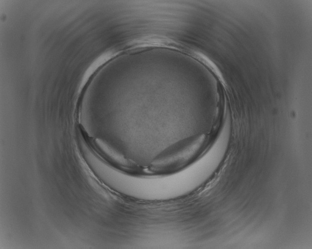 X0000074341146200608251344