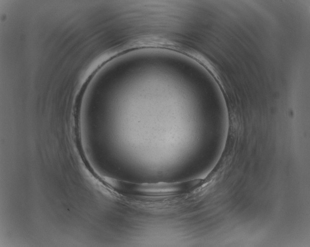 X0000074341147200608251344