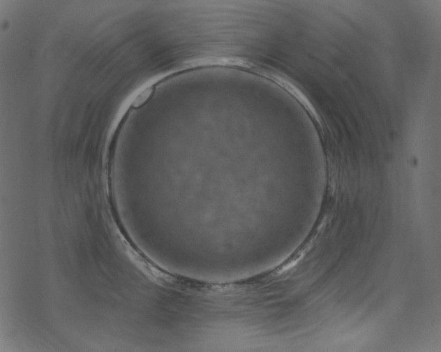 X0000074341148200608251344