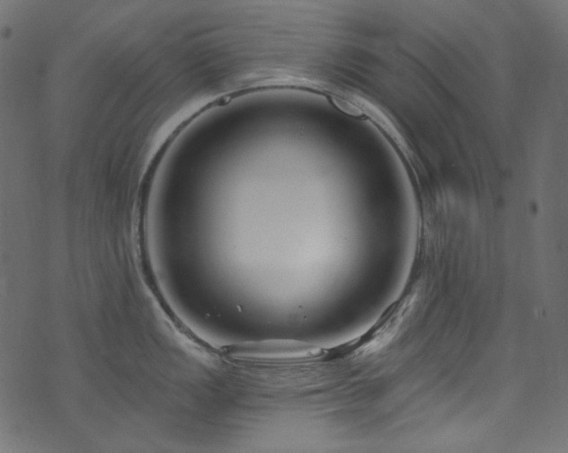 X0000074341149200608251344