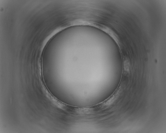 X0000074341150200608251344