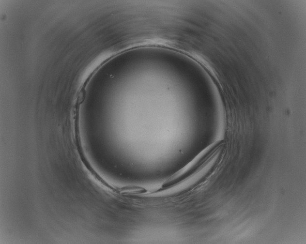 X0000074341151200608251344