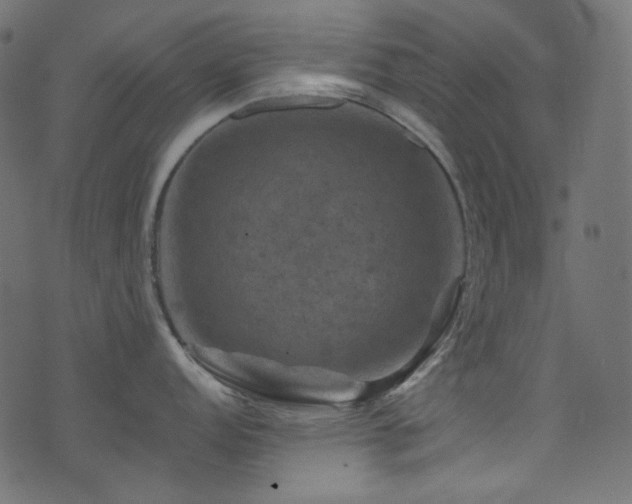 X0000074341152200608251344