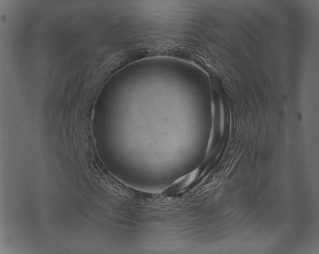 X0000074341153200608251344