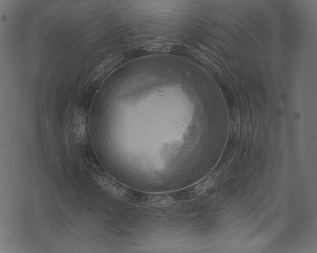 X0000074341154200608251344