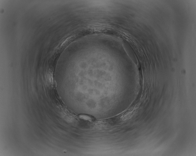 X0000074341155200608251344