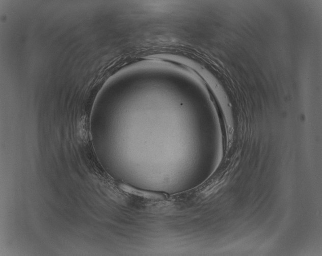 X0000074341156200608251344