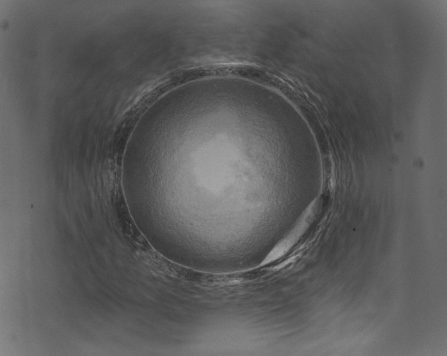 X0000074341157200608251344