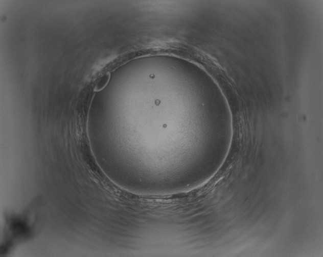 X0000074341158200608251344