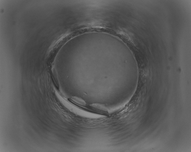 X0000074341159200608251344