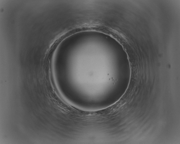 X0000074341160200608251344