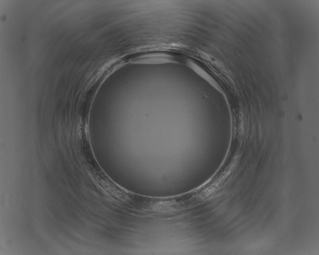 X0000074341161200608251343