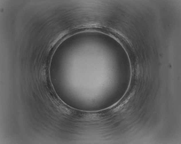 X0000074341162200608251343