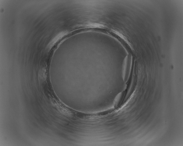 X0000074341163200608251343