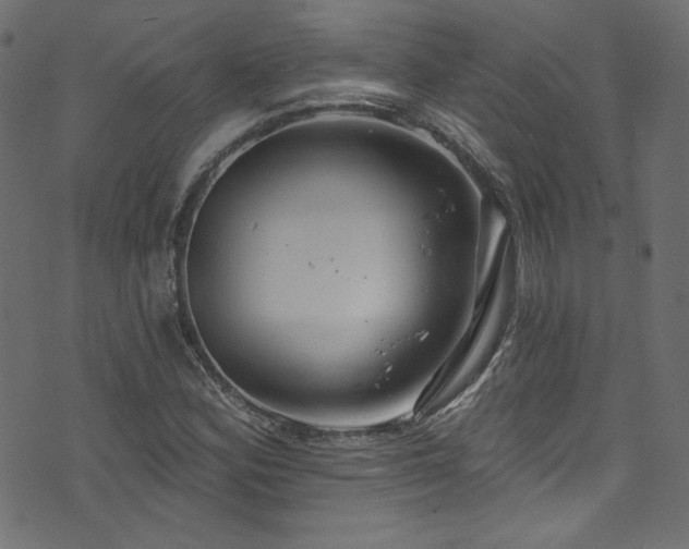 X0000074341164200608251343