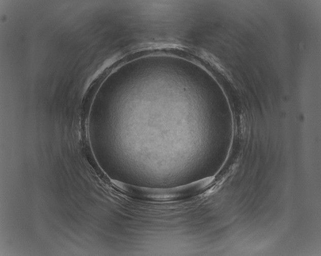 X0000074341165200608251343