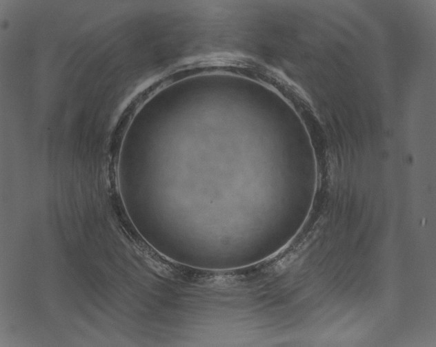 X0000074341166200608251343