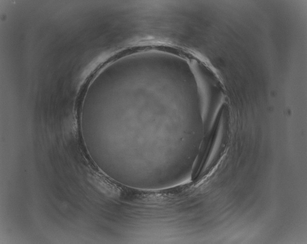 X0000074341167200608251343