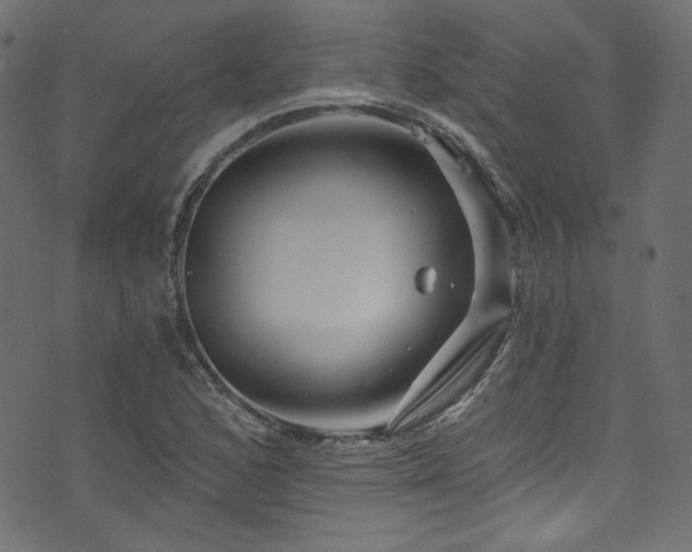 X0000074341168200608251343