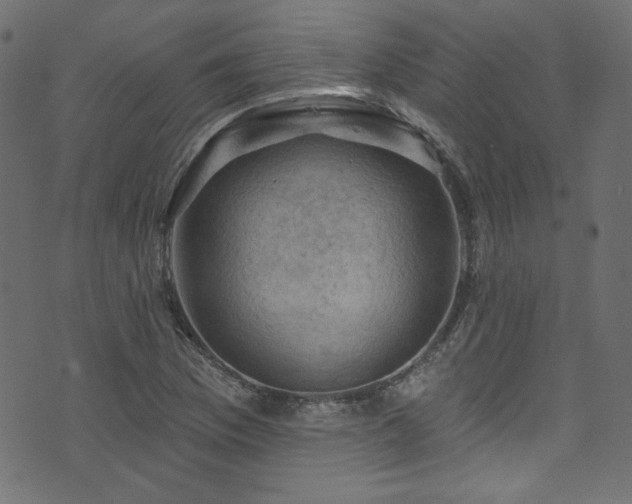 X0000074341169200608251343