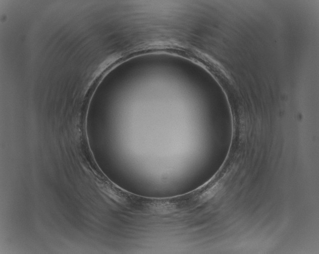 X0000074341170200608251343