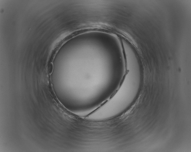 X0000074341172200608251343