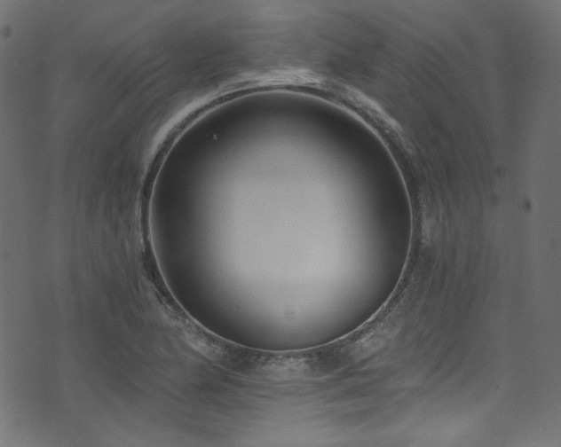 X0000074341174200608251343