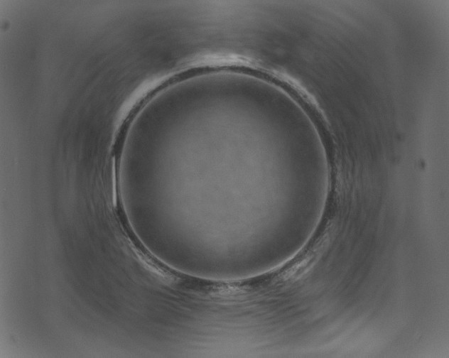 X0000074341175200608251343