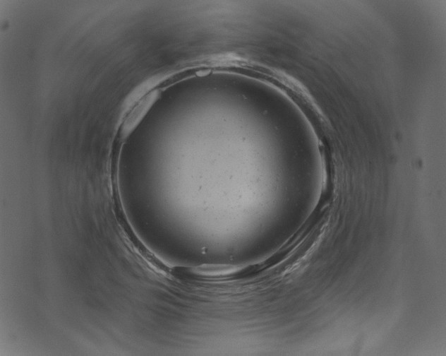 X0000074341176200608251343