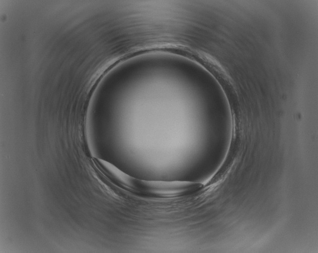 X0000074341177200608251343