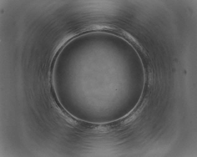 X0000074341178200608251343