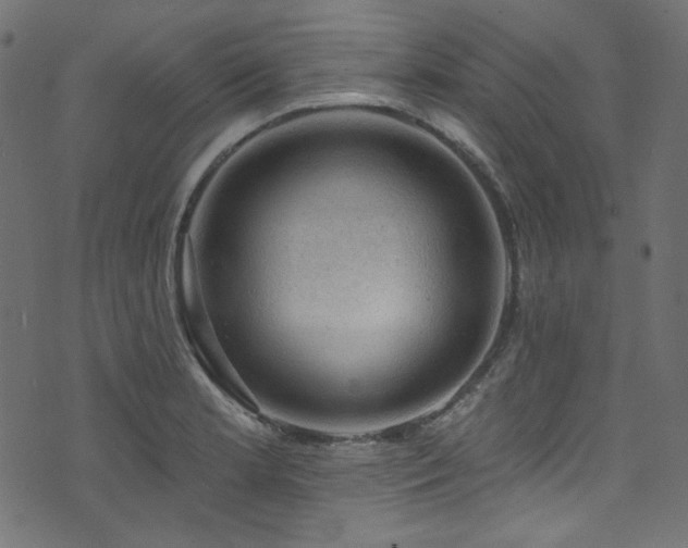 X0000074341181200608251343